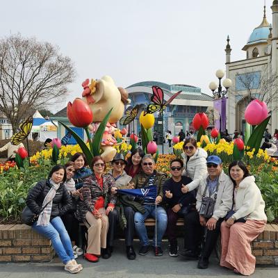 Tour Hàn Quốc 6