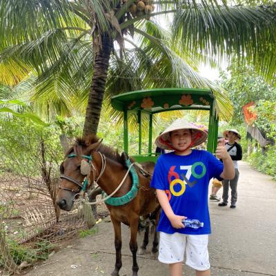 HÌNH TOUR MỸ THO - CẦN THƠ 6